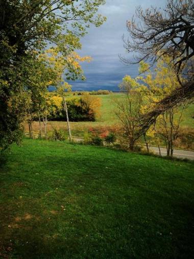 Netherfield Natural Farm