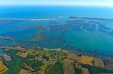 Seaside Apartment #22