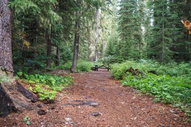 Shelter Cove Resort & Marina