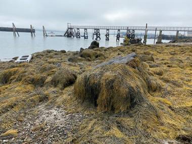 Harbor House Hotel by Umaniii in Jonesport Maine
