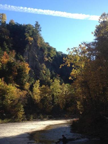 Glass Magnolia Bed & Breakfast