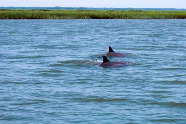 48 Davis Love - Three Bedroom House