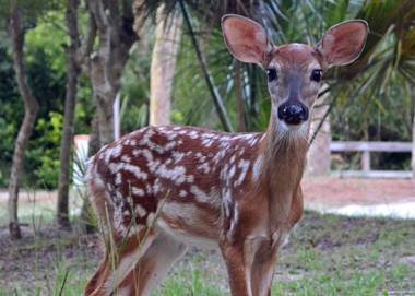 221 Tennis Villa - One Bedroom Villa