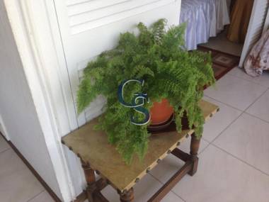 Depto Daria Punta del Este