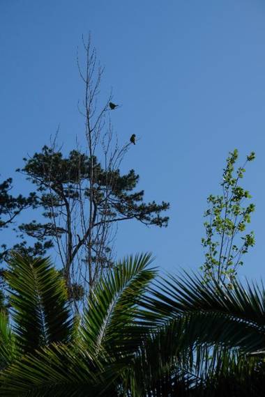 Las cabañas de macarena 2