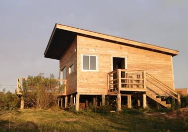 Charrua de Punta colorada