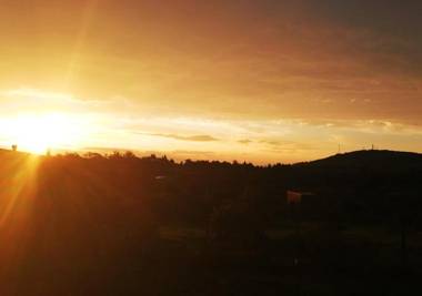 Charrua de Punta colorada