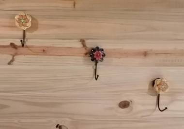 Charrua de Punta colorada