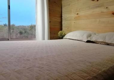 Charrua de Punta colorada