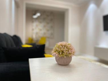 Senate Square Apartment