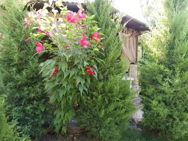 Green House ECO HOTEL