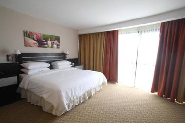 ECO PREMIUM PALAZA MERU