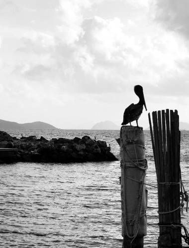 Sapphire Beach Villa Ocean and Marina View