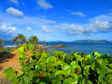 2BR Luxury Beachfront Duplex Villa on Sapphire Beach III