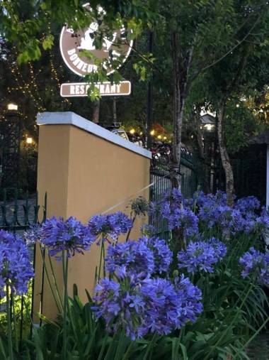 BICH DAO Boutique - Dalat