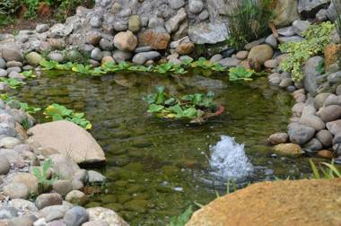 Dalat Topview Homestay