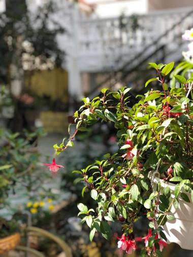 Villa Hotel Nam Khang 2