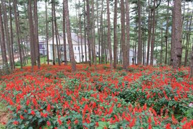 Da Lat Luxury Lake View Luis Villa