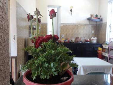 Dalat Moka Coffee House