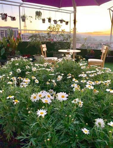 Giao Giao House Homestay