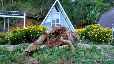Tuyết Hoa Hòn Bồ Bungalow