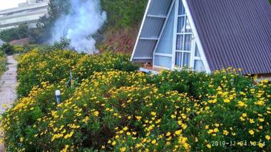 Tuyết Hoa Hòn Bồ Bungalow