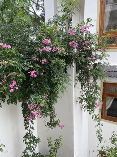 MOON VALLEY DALAT HOTEL