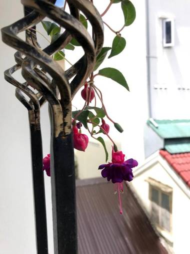 CozyNook Boutique Apartments - 3 thang 2 Street