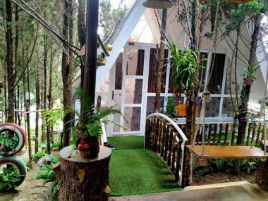 Homestay VuonTung (Pine Garden)