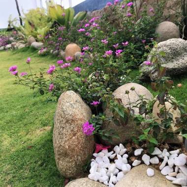 Đường Xưa Home Đà Lạt