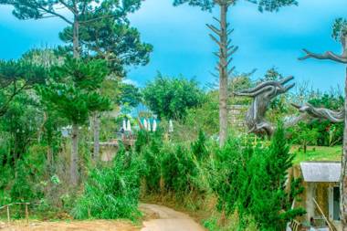 Dalat Maple Hostel & Inn