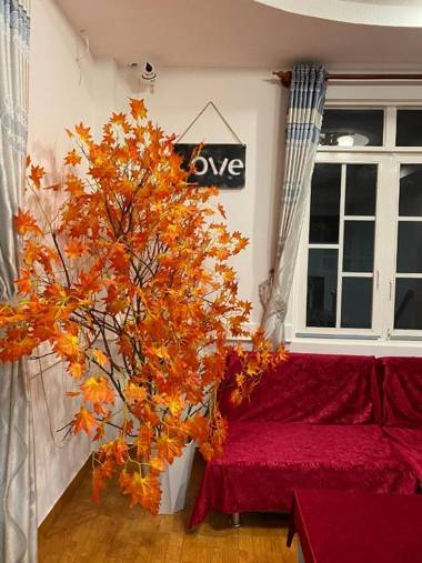 Nam Thiên - Homestay