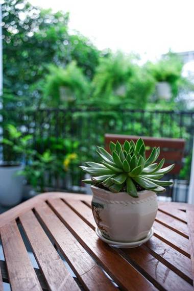 Local White House - Ecofriendly Homestay