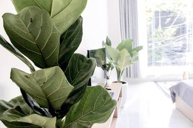 Bean's House - Central Apartment 