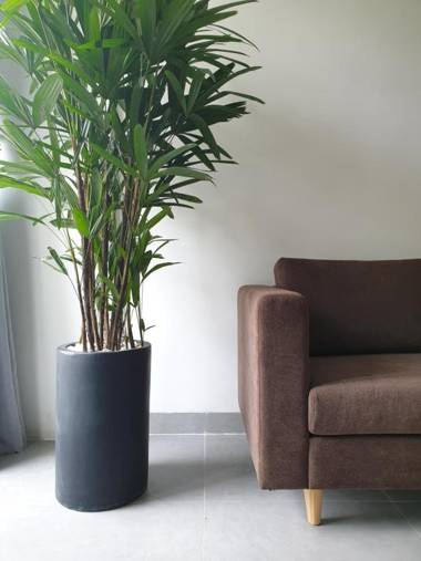 Lem's coffee & apartment