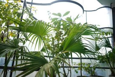 The Garden Hotel & Apartment