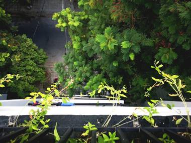 Benzen Boutique Stays