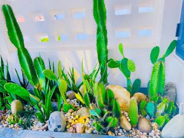 MÂY VILLA ĐÀ NẴNG