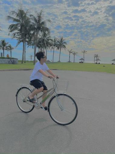 Ocean Villas Da Nang