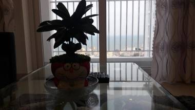 HomeAway - Melody Vung Tau