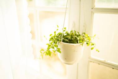 SON'S VILLA VUNG TAU