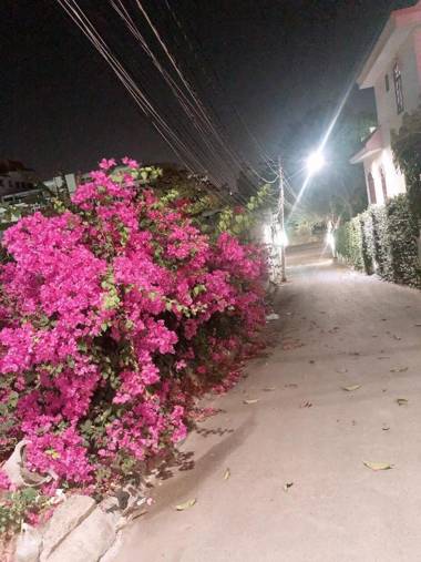 28 Võ Thị Sáu villa