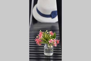 Mer Bleue Homestay-Seaview