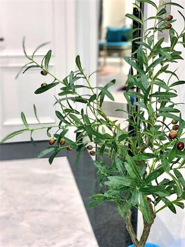 The Royal Homies - Phu My Hung