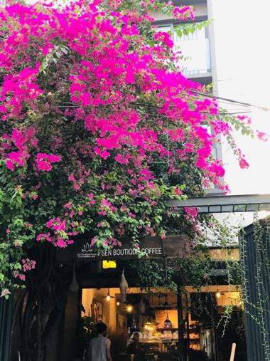 Sen Boutique Homestay