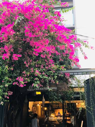 Sen Boutique Homestay