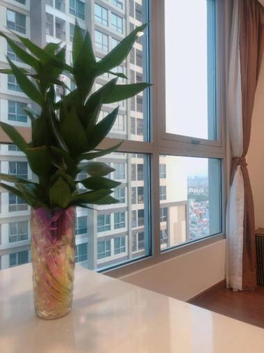 AMAZING View Landmark 81 - Landmark 5 VHCP