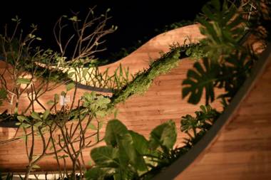 Cityhouse - CityOasis