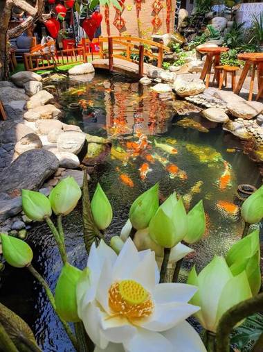 KoiKing Homestay Quy Nhơn