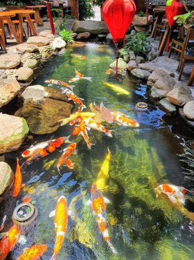 KoiKing Homestay Quy Nhơn